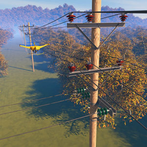 forest vegetation control sevices