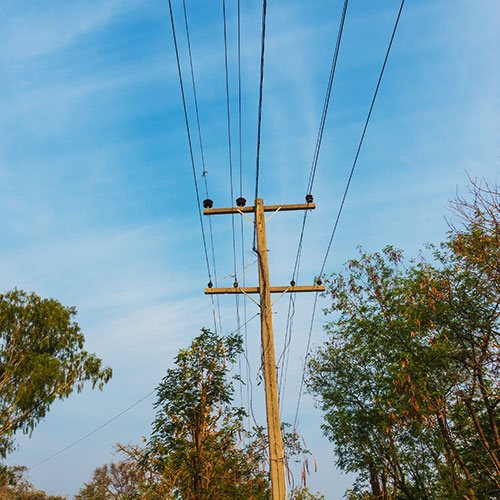 Vegetation Management for Electric Cooperatives